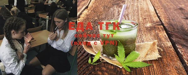 индика Нея