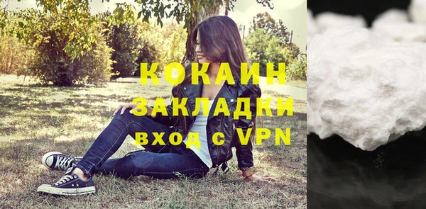 индика Нея