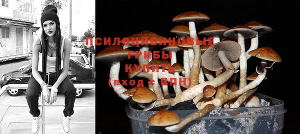 индика Нея