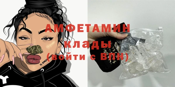 индика Нея