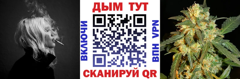 МАРИХУАНА семена  Северская 